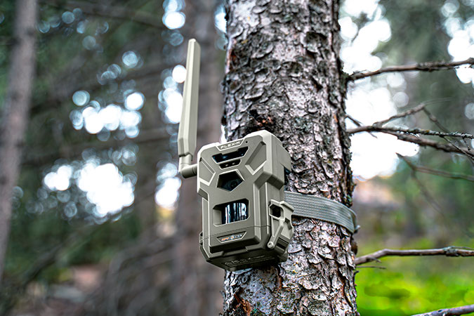 Wildlife cameras