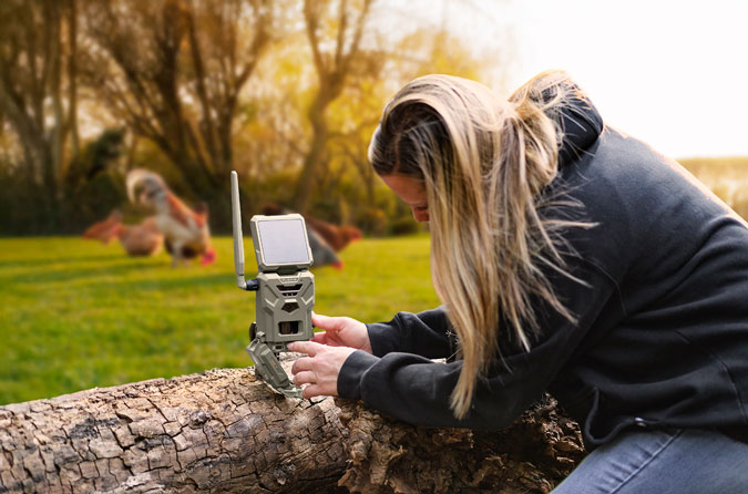 Wildlife cameras - Keep a Close Eye on Biodiversity