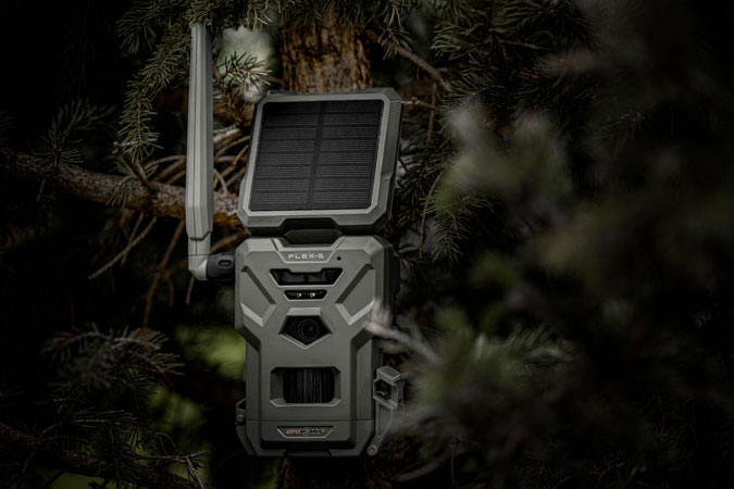 Wildlife cameras - Specialized Wildlife Cameras for Nocturnal Animals