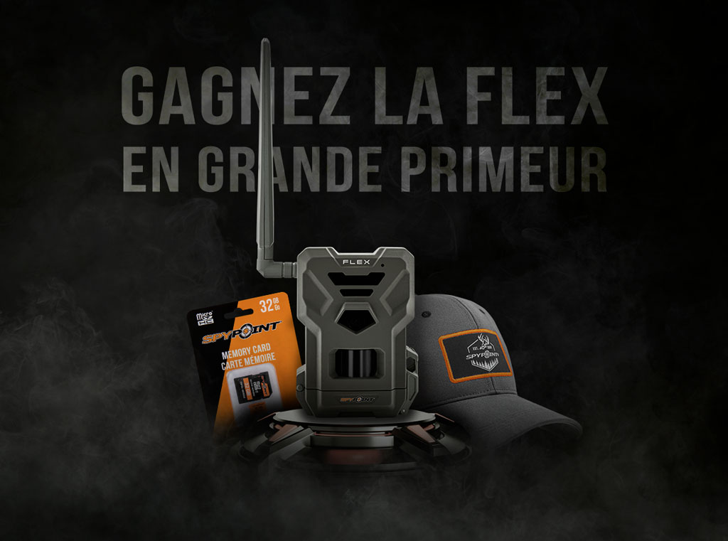 giveaways.h1-1 giveaways.h1-2