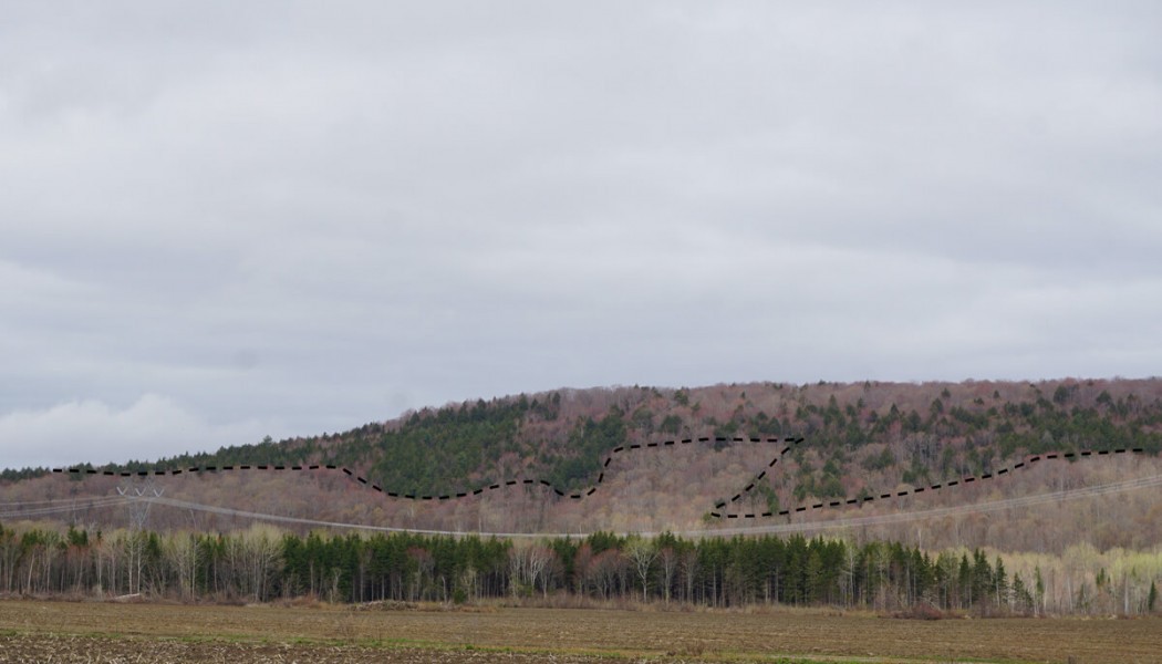 Les transitions de couverts