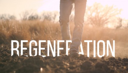 Building Whitetails - Regeneration - Food Plots and Native Grasses