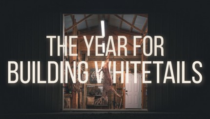 Building Whitetails - A Year For Building Whitetails