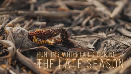 How to Hunt Late Season Whitetails | Building Whitetails