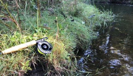 How Do I Start Fly Fishing?