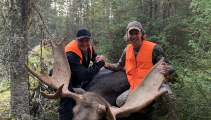 Meilleure période pour la prospection avant la chasse de l’orignal