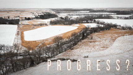 Building Whitetails - Progress in "The Runway?"