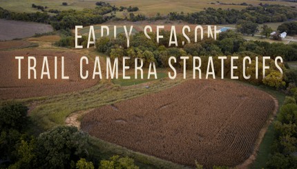 Building Whitetails - Early Season Strategies
