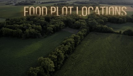 Building Whitetails - Designing Fall Food Plots