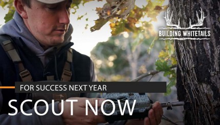 Scout for Next Hunting Season Right Now