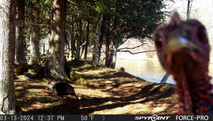 TROIS ERREURS À ÉVITER LORS DE LA CHASSE AU DINDON CETTE SAISON