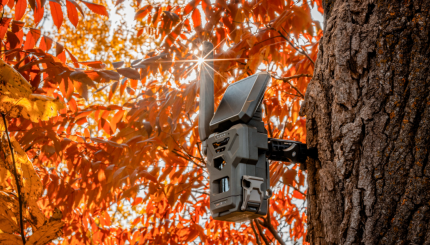 Trois Façons d'Améliorer Votre Chasse Avec les Caméras Solaires