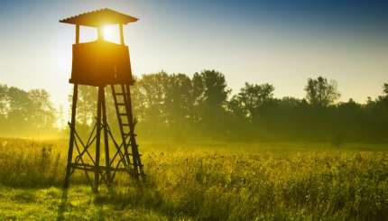 Setting Expectations for Your Hunting Season