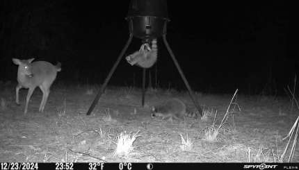 The Best Way to Use Trail Cameras Around Feeders