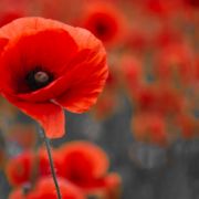 Supporting Those Who Served: SPYPOINT Contributes to The Legion National Foundation