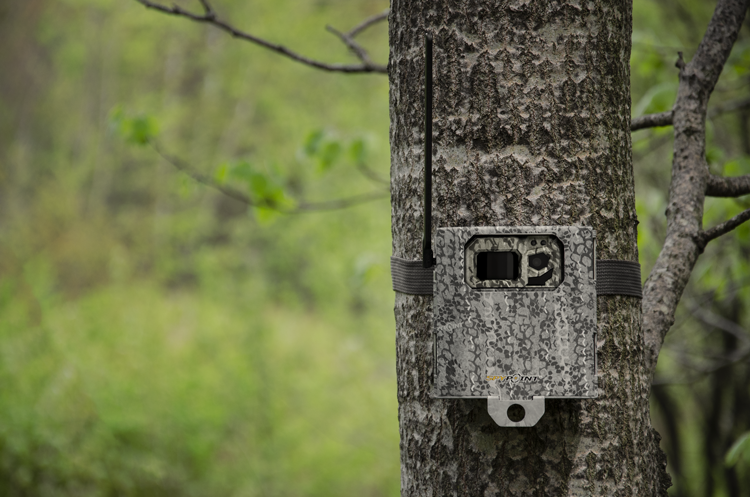 1 Boîtier de sécurité pour caméra à 4 DEL