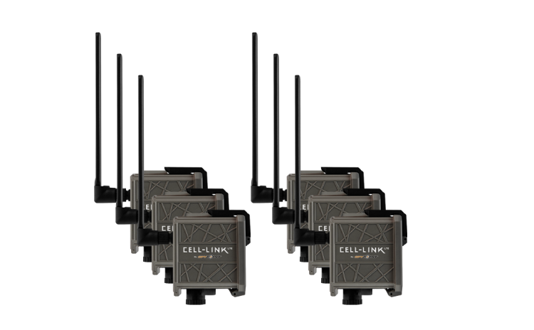 CELL-LINK_6pk